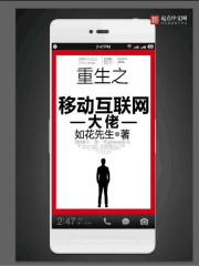 重生之移动互联网大佬