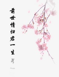 前世情归君一生