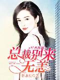 星光璀璨：总裁别来无恙
