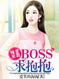 辣妻来袭：BOSS，求抱抱