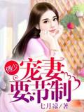 傅少宠妻要节制
