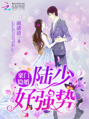 豪门隐婚：陆少，好强势
