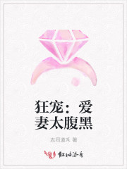 狂宠：爱妻太腹黑
