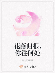 花落归根，你往何处