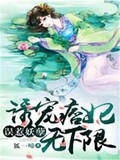 误惹妖孽：诱宠痞妃无下限