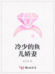 冷少的鱼儿娇妻