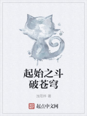 起始之斗破苍穹