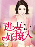 逃妻好撩人