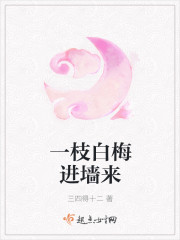 一枝白梅进墙来