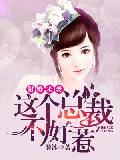 甜婚来袭：这个总裁不好惹