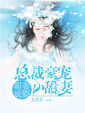 霸妻成瘾：总裁豪宠小甜妻