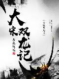 大宋双龙记