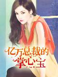 亿万总裁的掌心宝
