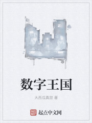 数字王国