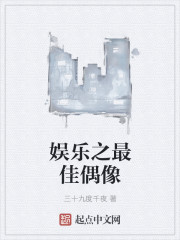 娱乐之最佳偶像