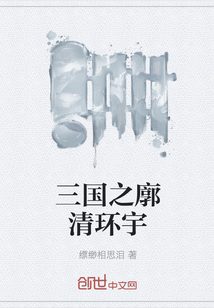 三国之廓清环宇