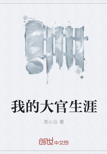 我的大官生涯