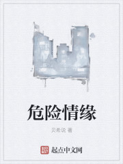 危险情缘
