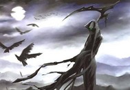 这个死神有点萌