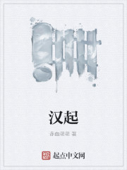 汉起