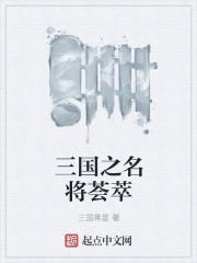 三国之名将荟萃
