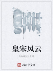 皇宋风云