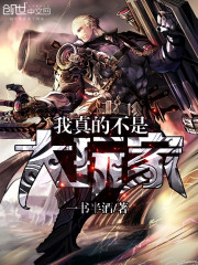 我真的不是大玩家