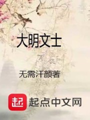 大明文士