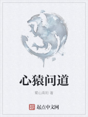 心猿问道