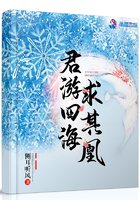凤求凰之引卿为妻