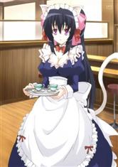 综漫:从守护猫娘绯鞠开始