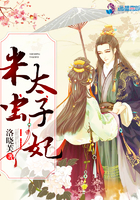 米虫太子妃洛妃华凤熙