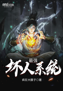 最强坏人系统小说