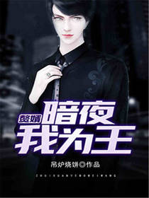 赘婿：暗夜我为王