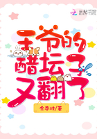 王爷的醋坛子又翻了