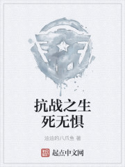 寸寸山河寸寸血