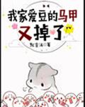 我家爱豆的马甲又掉了