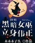 黑暗女巫立身伟正[穿书]