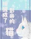 睡醒成了影帝的猫