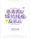 恶毒男配嫁给残疾反派后