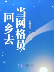 回乡去当网格员