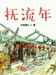 抚流年