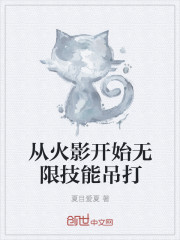 从火影开始无限技能吊打