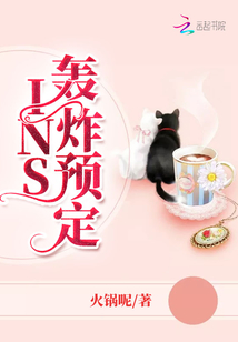 INS轰炸预定