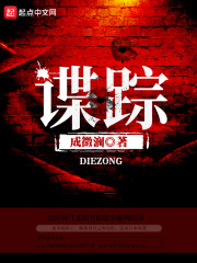 林江北谍踪