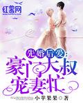 先婚后爱：豪门大叔宠妻忙