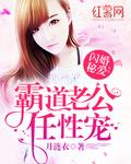 闪婚秘爱：霸道老公任性宠