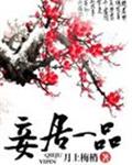 妾居一品