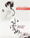 小宫女