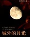 城外的月光